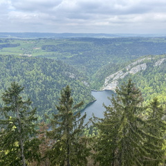 23-05-20 13-54-33 5498